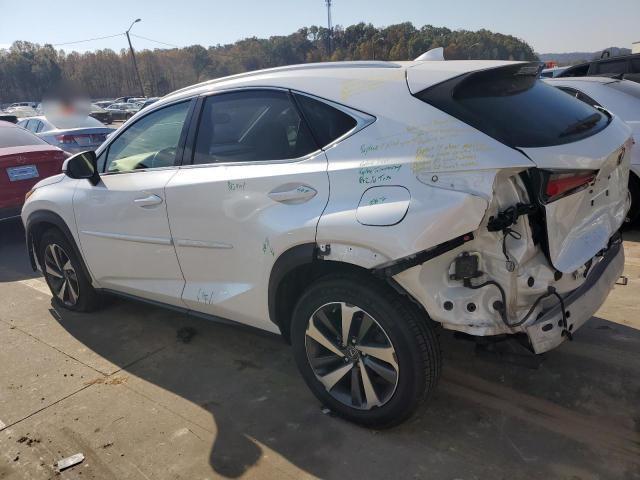 Photo 2 from auction – 2019 LEXUS NX 300 BAS with VIN JTJBARBZ9K2203270