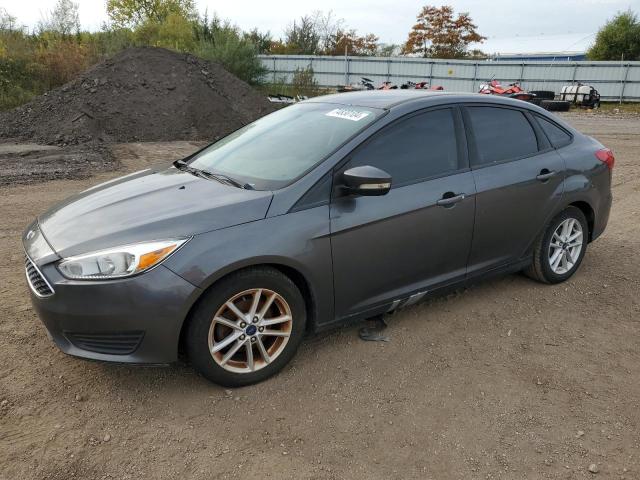 FORD FOCUS SE 2016 with VIN 1FADP3F24GL390624 - Photo from auction