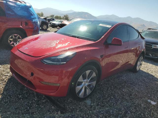 TESLA MODEL Y 2023 with VIN 7SAYGDEEXPF714596 - Photo from auction