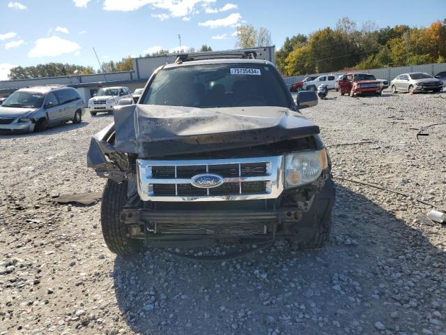 Photo 5 from auction – 2009 FORD ESCAPE LIM with VIN 1FMCU94G39KD13201