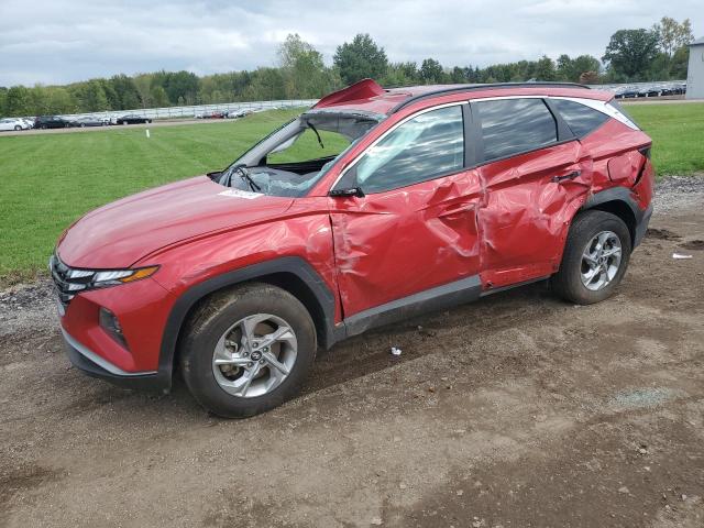 Photo 1 from auction – 2023 HYUNDAI TUCSON SEL with VIN 5NMJBCAEXPH265898