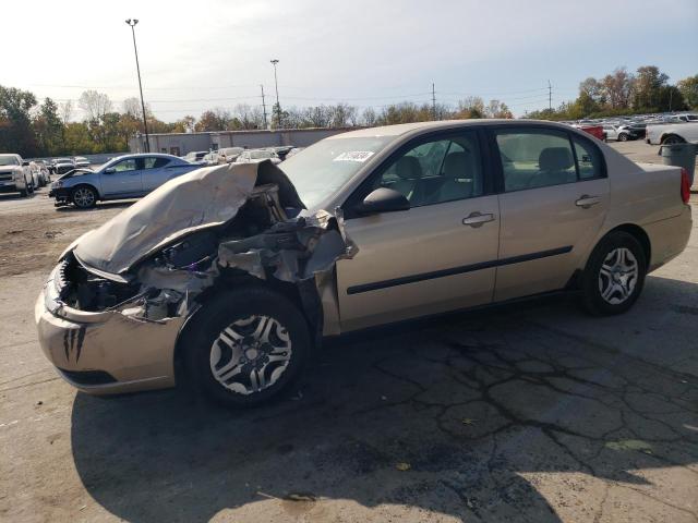 CHEVROLET MALIBU 2005 with VIN 1G1ZS52F45F295181 - Photo from auction