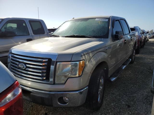 FORD F150 SUPER 2010 with VIN 1FTEW1C88AFD73717 - Photo from auction
