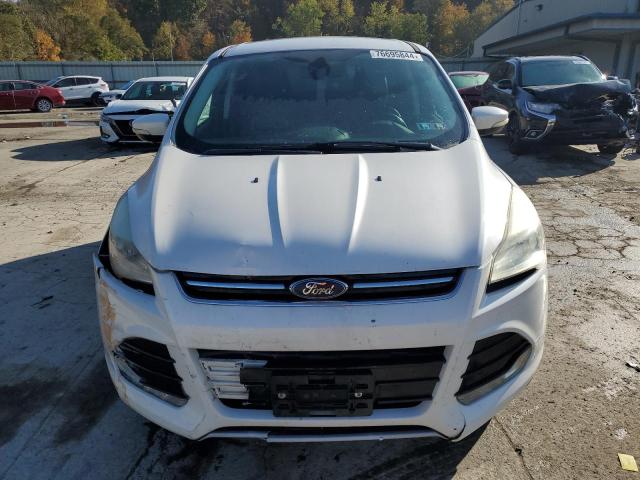 Photo 5 from auction – 2013 FORD ESCAPE SEL with VIN 1FMCU9H98DUA81431
