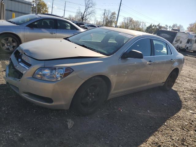 CHEVROLET MALIBU LS 2010 with VIN 1G1ZA5E00AF191839 - Photo from auction
