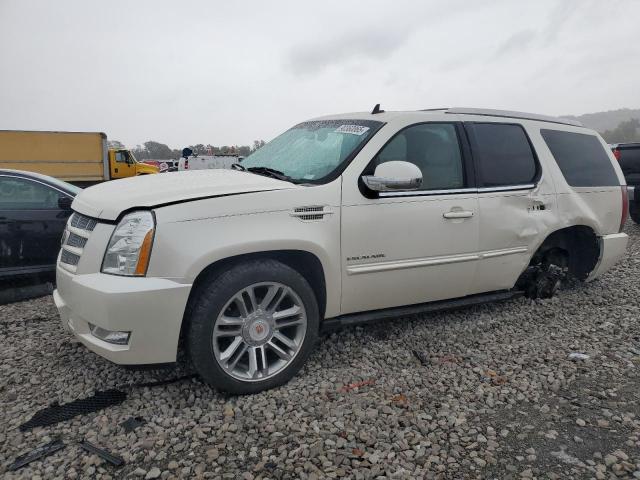 CADILLAC ESCALADE P 2013 مع رقم تعريف المركبة 1GYS4CEF2DR125489 - صورة من المزاد