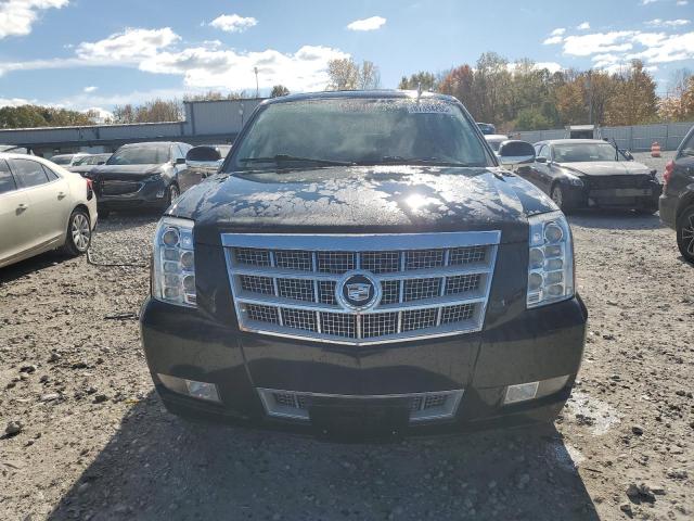 Photo 5 from auction – 2011 CADILLAC ESCALADE E with VIN 1GYS4KEF2BR359042