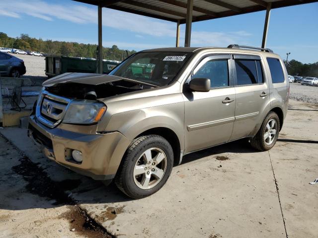 HONDA PILOT EXL 2009 with VIN 5FNYF38599B024346 - Photo from auction