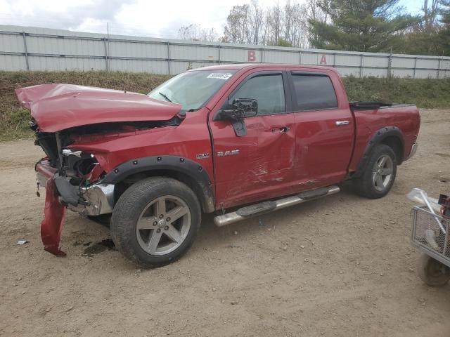 DODGE RAM 1500 2009 with VIN 1D3HV13TX9S712461 - Photo from auction