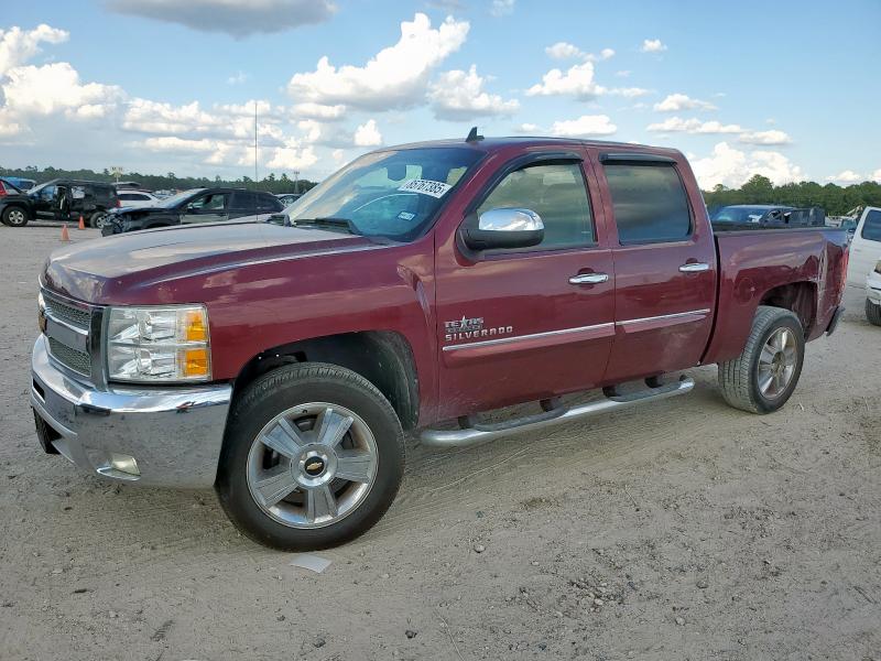 CHEVROLET SILVERADO 2013 with VIN 3GCPCSE01DG329818 - Photo from auction