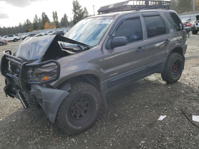 FORD ESCAPE XLS 2002 with VIN 1FMYU02B02KB78189 - Photo from auction