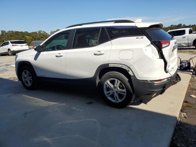 Photo 2 from auction – 2024 GMC TERRAIN SL with VIN 3GKALMEG4RL266117