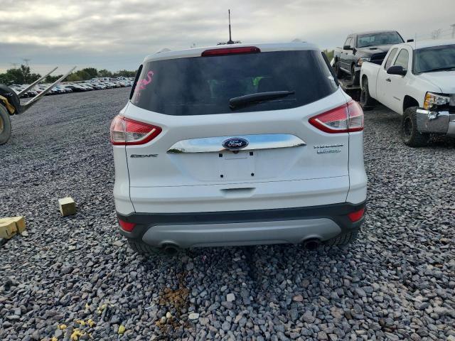 Photo 6 from auction – 2014 FORD ESCAPE TIT with VIN 1FMCU0JX5EUC17701