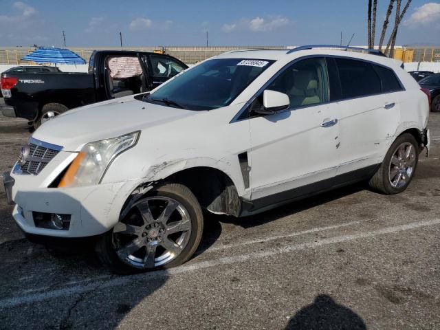 CADILLAC SRX PERFOR 2012 with VIN 3GYFNEE37CS658577 - Photo from auction