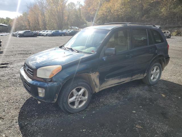 TOYOTA RAV4 2003 with VIN JTEHH20V130196632 - Photo from auction