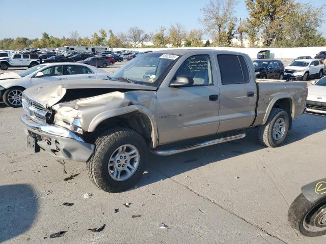 DODGE DAKOTA QUA 2002 with VIN 1B7HG48N02S531194 - Photo from auction