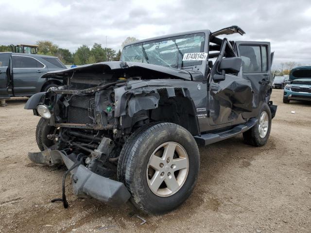 JEEP WRANGLER U 2017 with VIN 1C4BJWDG6HL612648 - Photo from auction