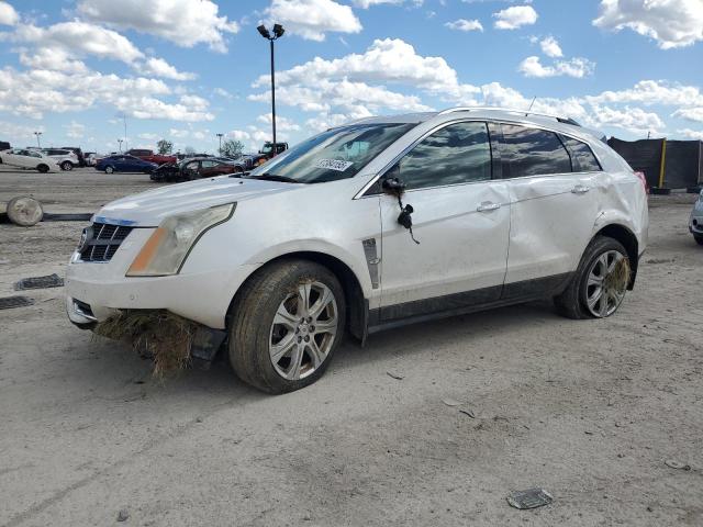 CADILLAC SRX PERFOR 2011 with VIN 3GYFNBEY6BS619049 - Photo from auction