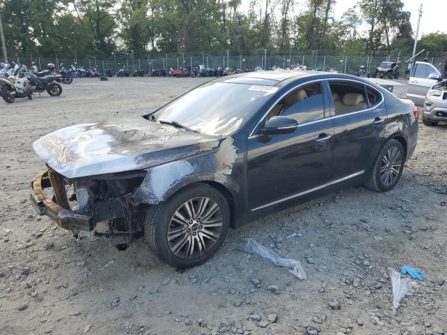 KIA CADENZA PR 2014 with VIN KNALN4D77E5166679 - Photo from auction