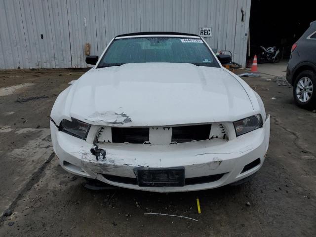 Photo 5 from auction – 2010 FORD MUSTANG with VIN 1ZVBP8EN3A5113501