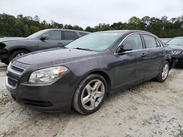CHEVROLET MALIBU 2011 with VIN 1G1ZA5EU2BF146423 - Photo from auction
