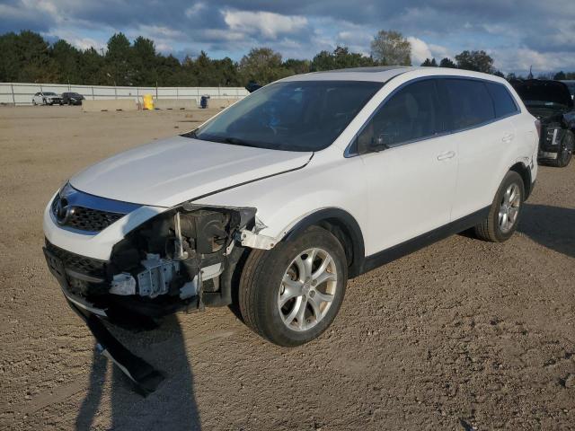 MAZDA CX-9 2011 with VIN JM3TB3CA5B0309194 - Photo from auction