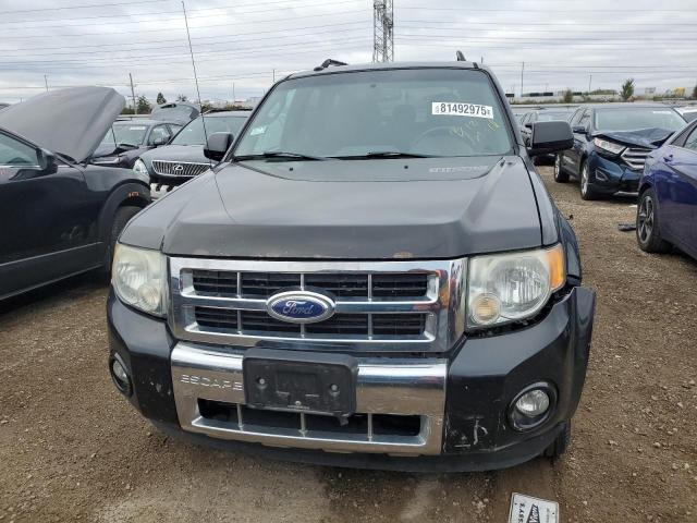 Photo 5 from auction – 2011 FORD ESCAPE LIM with VIN 1FMCU0EG1BKB33845