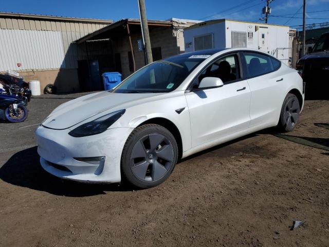 TESLA MODEL 3 2023 with VIN 5YJ3E1EA1PF487999 - Photo from auction