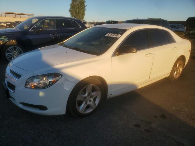 CHEVROLET MALIBU LS 2010 with VIN 1G1ZB5EB5AF244050 - Photo from auction