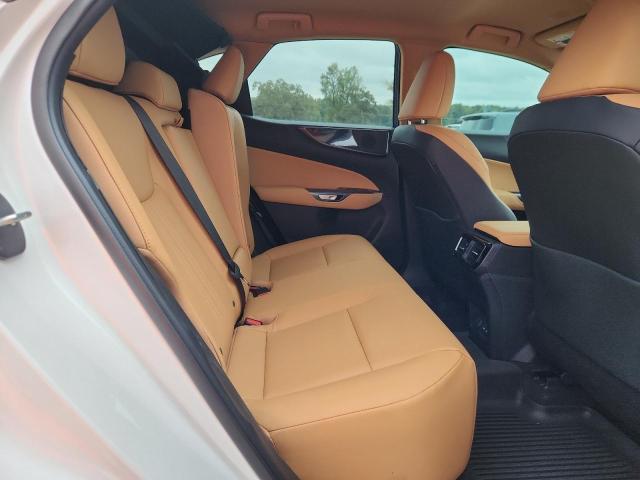 Zdjęcie 11 z aukcji – 2025 LEXUS NX 250 BAS z VIN 2T2ADCAZ9SC024907