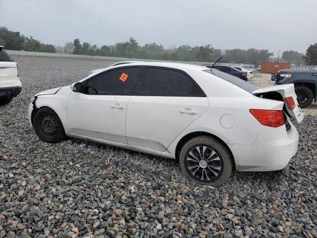 Photo 2 from auction – 2010 KIA FORTE EX with VIN KNAFU4A26A5303663