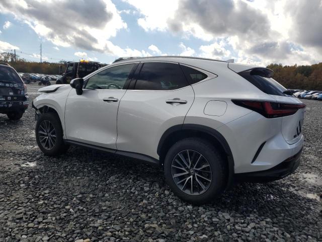 Photo 2 from auction – 2024 LEXUS NX 350 BAS with VIN 2T2AGCEZ1RC034102