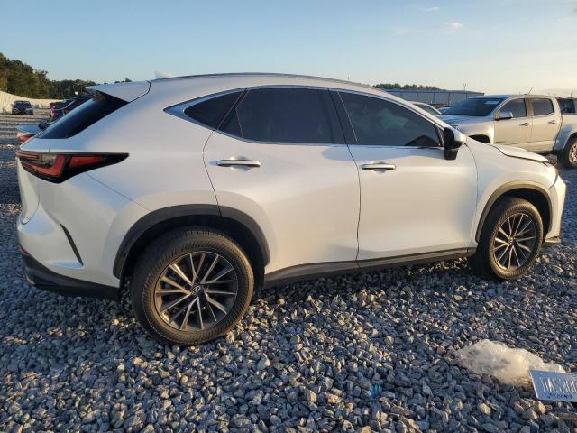 Photo 3 from auction – 2022 LEXUS NX 350 with VIN 2T2GGCEZ4NC004600