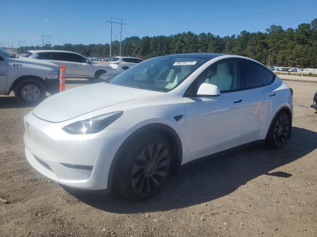 TESLA MODEL Y 2024 with VIN 7SAYGDEF8RA319051 - Photo from auction
