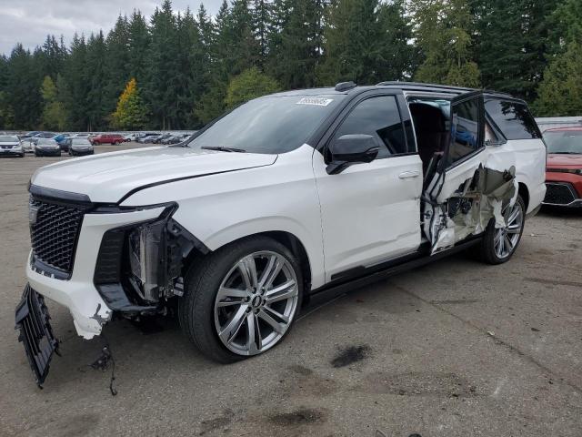 CADILLAC ESCALADE E 2025 with VIN 1GYS9PRLXSR146161 - Photo from auction