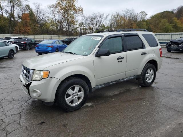 FORD ESCAPE XLT 2009 with VIN 1FMCU93G59KC56632 - Photo from auction