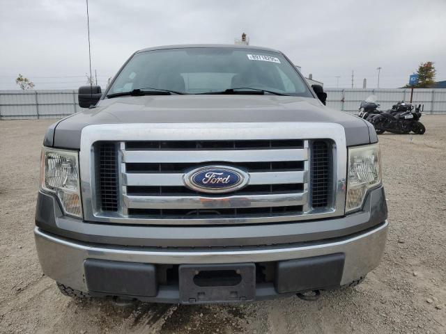 Photo 5 from auction – 2010 FORD F150 with VIN 1FTFW1E83AKE27112