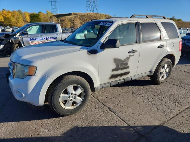 FORD ESCAPE XLT 2010 with VIN 1FMCU9DG4AKC43020 - Photo from auction