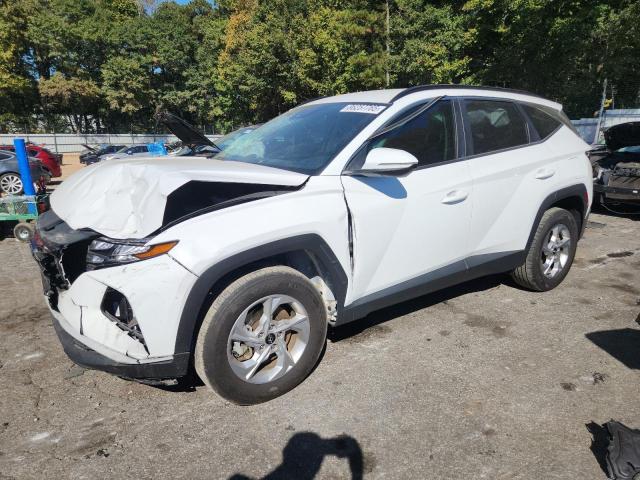 HYUNDAI TUCSON SEL 2023 with VIN 5NMJBCAE6PH242960 - Photo from auction