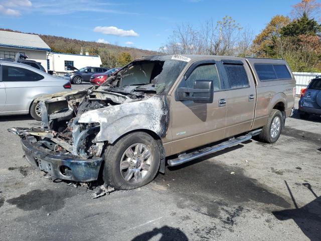 FORD F150 SUPER 2011 with VIN 1FTFW1ET0BFC02077 - Photo from auction