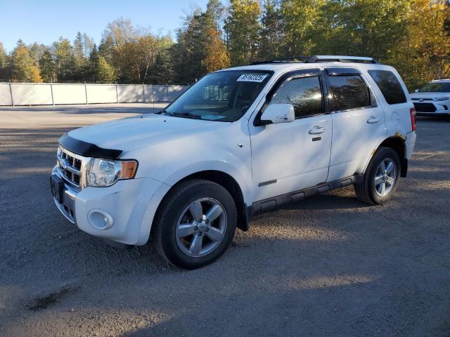 FORD ESCAPE 2008 with VIN 1FMCU94138KB64573 - Photo from auction