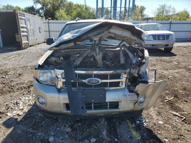 Photo 5 from auction – 2010 FORD ESCAPE XLT with VIN 1FMCU0DG0AKA42095