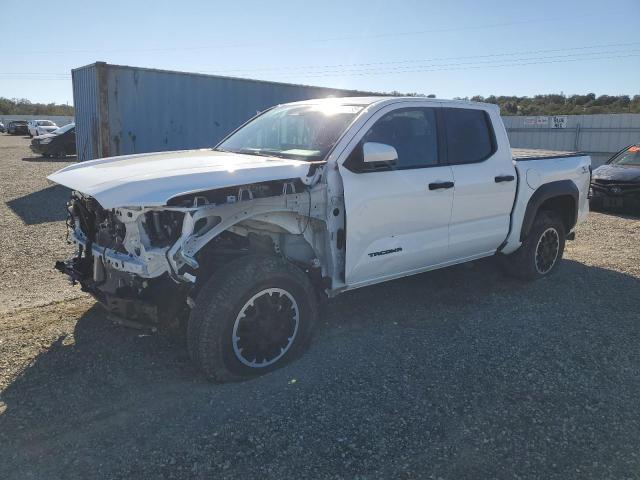 TOYOTA TACOMA DOU 2024 with VIN 3TMLB5JN8RM013149 - Photo from auction