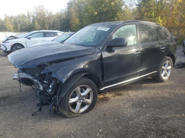 AUDI Q5 PREMIUM 2017 with VIN WA1C2AFP2HA092021 - Photo from auction