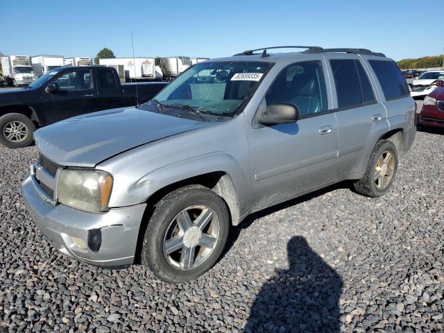 CHEVROLET TRAILBLAZER LS 2008 with VIN 1GNDT13S482166265 - Photo from auction