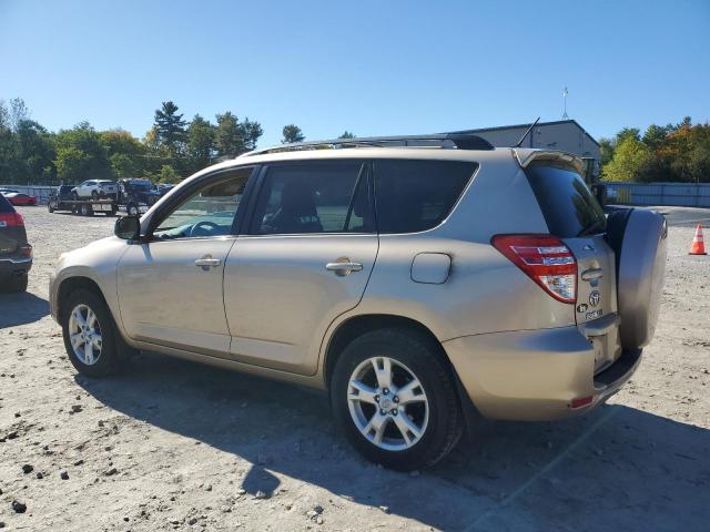Photo 2 from auction – 2011 TOYOTA RAV4 with VIN 2T3BF4DV2BW158360