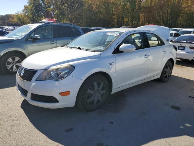 SUZUKI KIZASHI S 2010 with VIN JS2RF9A15A6100200 - Photo from auction