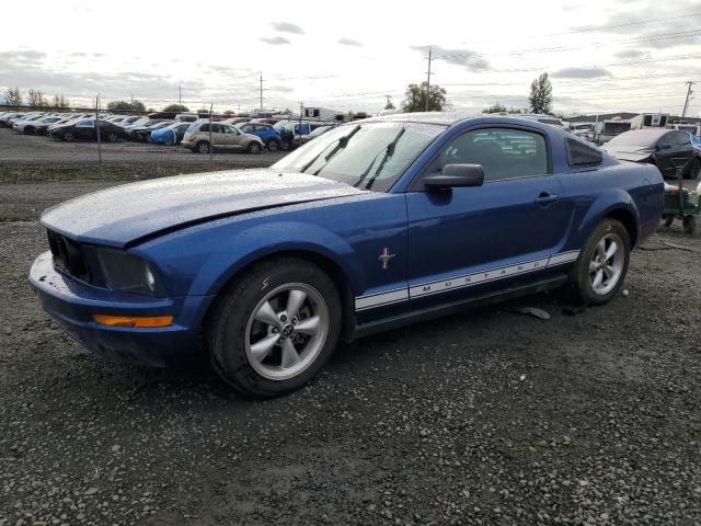 FORD MUSTANG 2007 with VIN 1ZVHT80N075253902 - Photo from auction