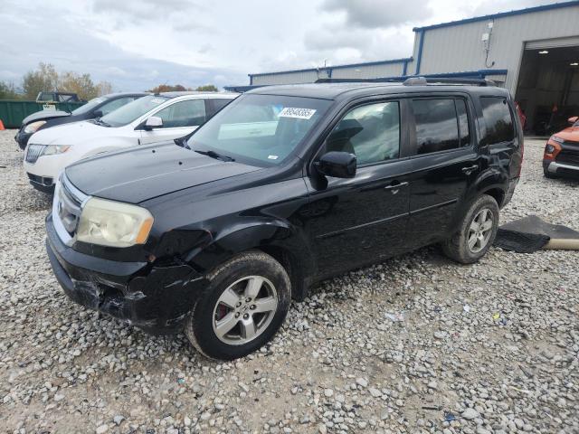HONDA PILOT EXL 2010 with VIN 5FNYF4H53AB023199 - Photo from auction
