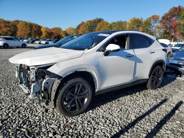LEXUS NX 450H LU 2025 с VIN JTJHKCFZ0S2053130 - Снимка от търг